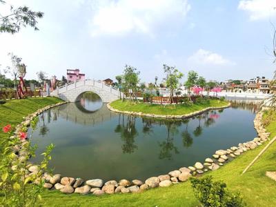 魚塘變公園、村莊成景區,東莞寒溪水村繪就農村美景