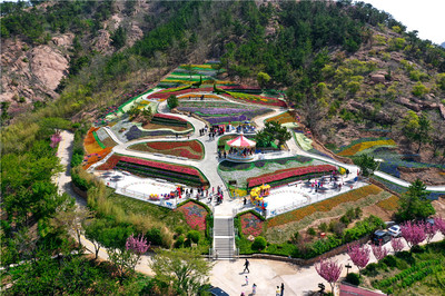 免費(fèi)游花海！第三屆青島花卉博覽會今日在生態(tài)園盛大啟動