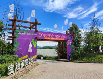 把課堂搬到泥土里，龍泉驛生態(tài)園打造校外勞動(dòng)教育基地